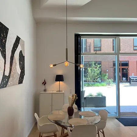 Daire Exclusive Harbourfront With Private Entrance Aalborg
